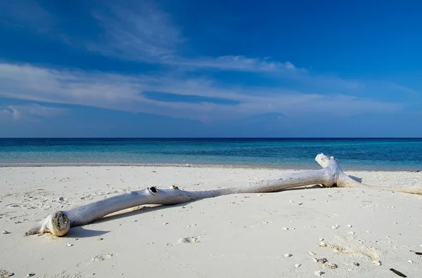 Praia tropical — Fotografia de Stock