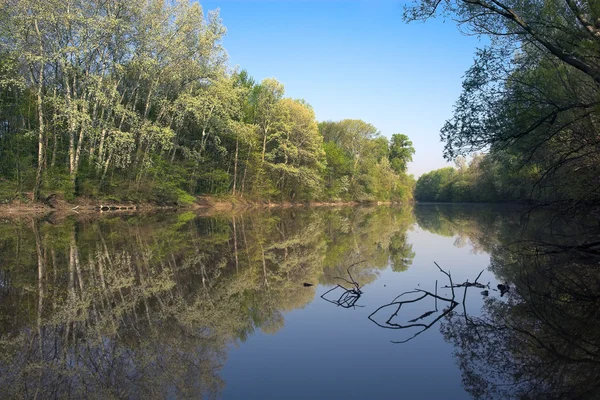 Stock image River landscape