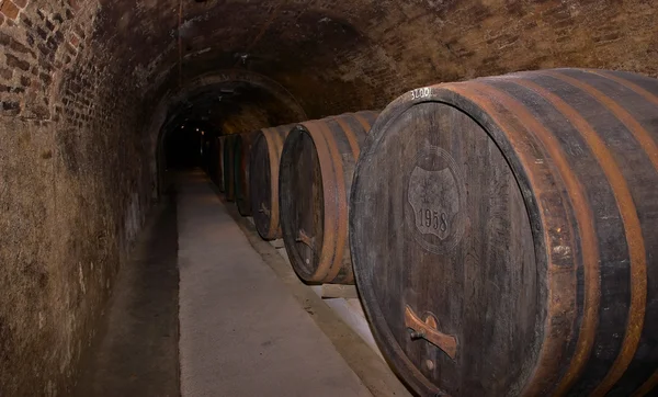 stock image Wine cellar