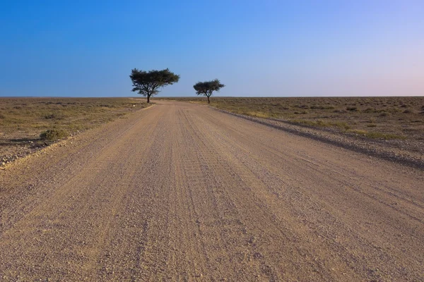 stock image Country road