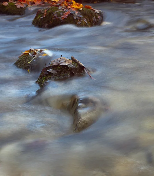 Rochers dans un ruisseau — Photo