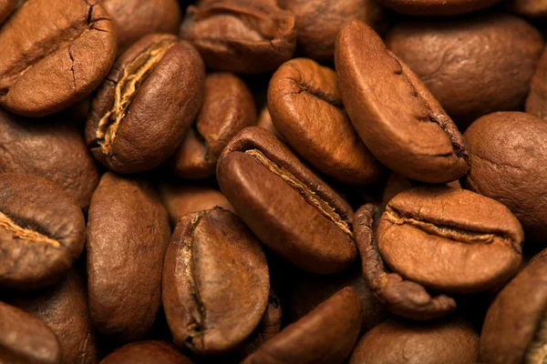 stock image Coffee beans