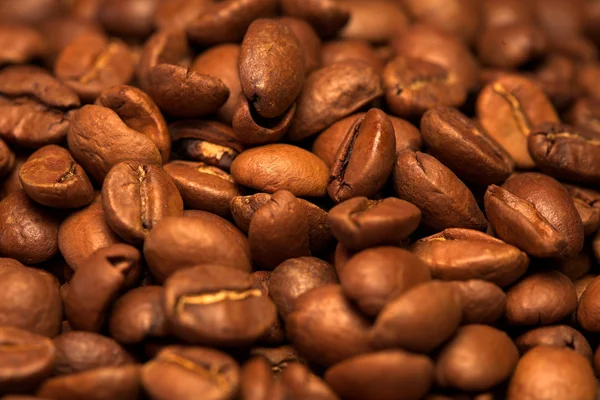 stock image Coffee beans