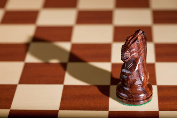 Schaakstuk - een zwarte paard op een schaakbord. — Stockfoto