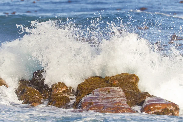 Waves breaking at the Cape of Good Hope — Stock Photo, Image
