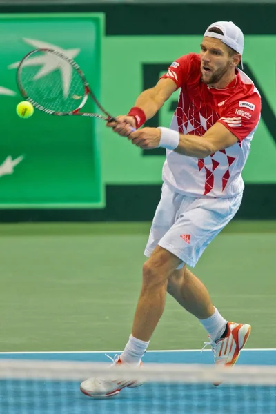 Copa Davis Austria vs. Rusia — Foto de Stock