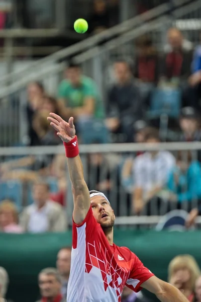 Davis cup Oostenrijk vs. Rusland — Stockfoto