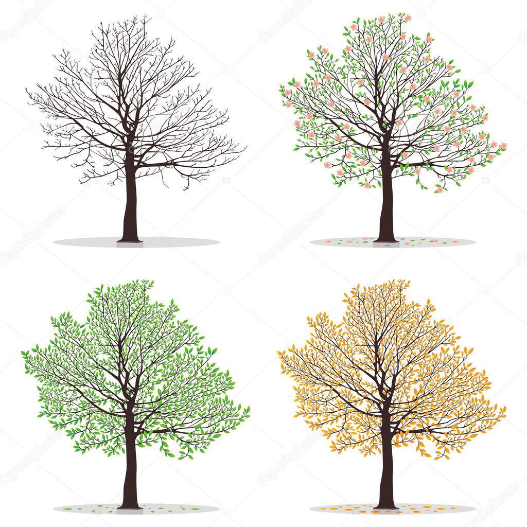four seasons trees — stock vector © volykievgenii 9133078