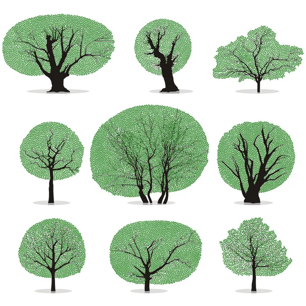 Bäume — Stockvektor