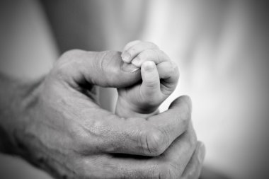 Dad holding baby daughters hand