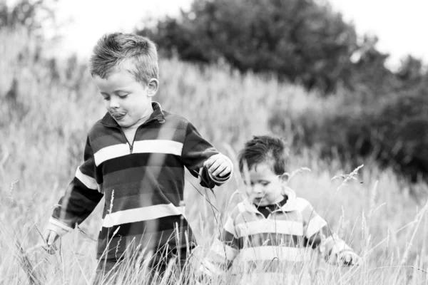 2 人の兄弟がイギリスの田舎を楽しむ — ストック写真