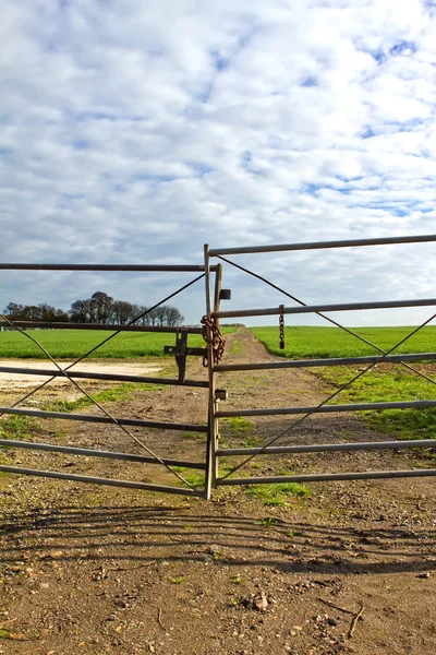 Gate to a country field — Stock Photo, Image
