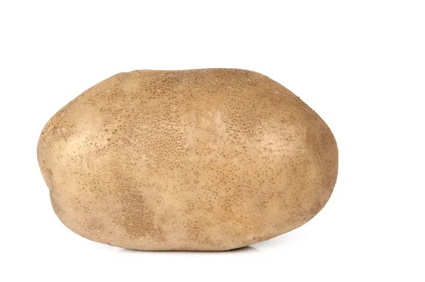 Raw Potato — Stock Photo, Image