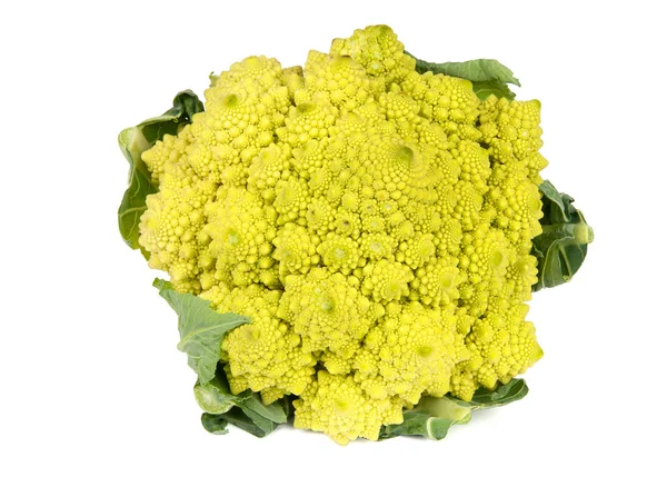 Romanesco broccoli kool — Stockfoto