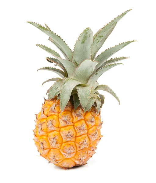 stock image Fresh pineapple