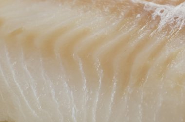 Fresh raw cod fillet clipart