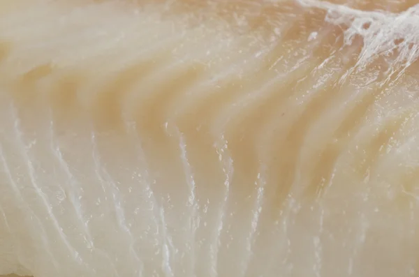 Filete fresco de bacalao crudo — Foto de Stock
