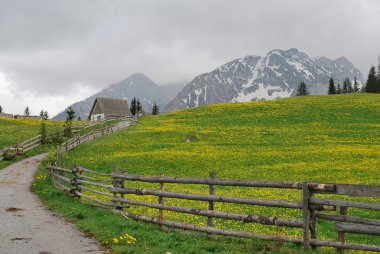 Durmitor mountain clipart