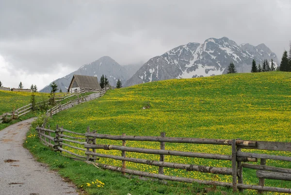 stock image Durmitor mountain