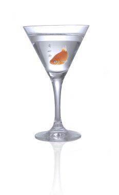 Yalnız goldfish