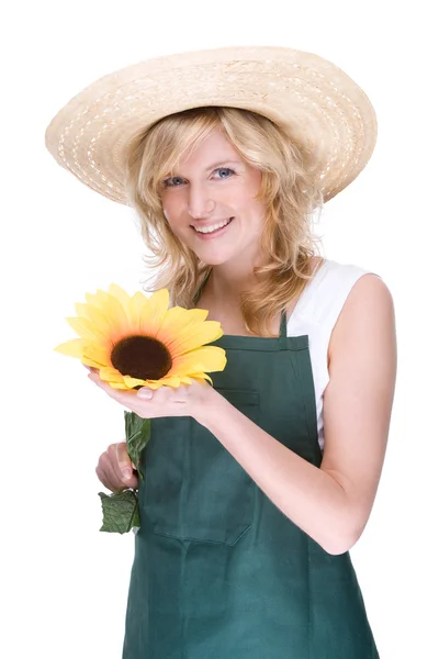 Gardener swith sunflower — Stock Photo, Image