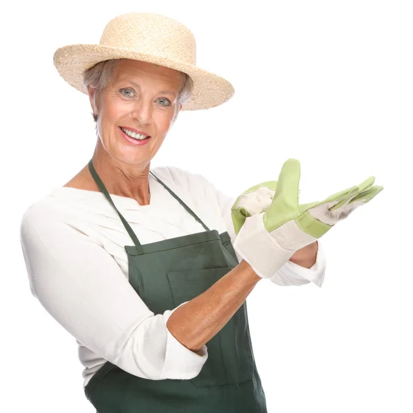 stock image Senior gardener