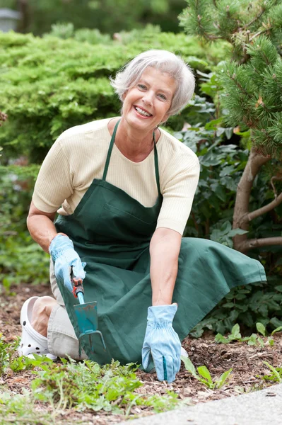Senior gardener — Stock Photo, Image