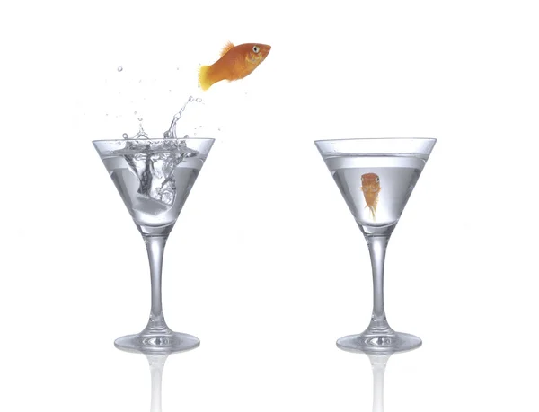 Jumping goldfish — Stock Photo, Image