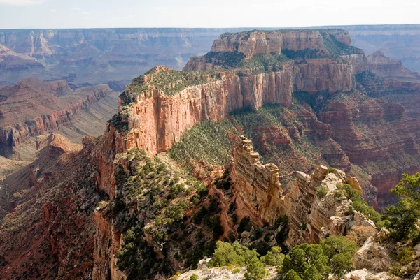 Grand Canyon — Stock fotografie