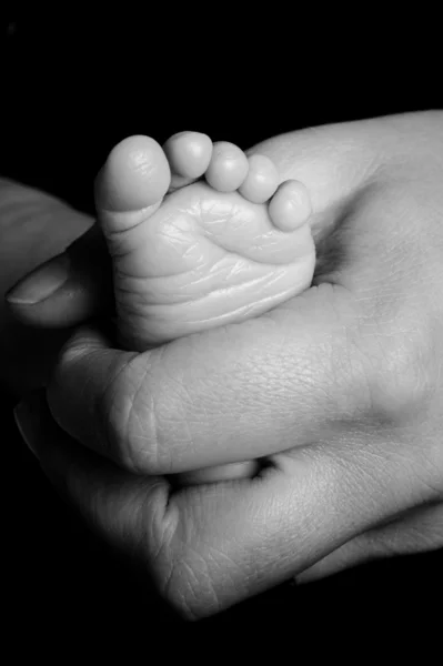 Babys πόδι — Φωτογραφία Αρχείου