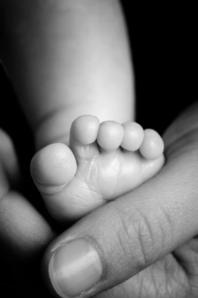 Babys foot — Stock Photo, Image