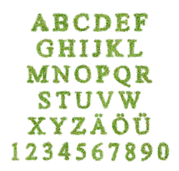 Alphabet with green grass letter — Stock Photo, Image