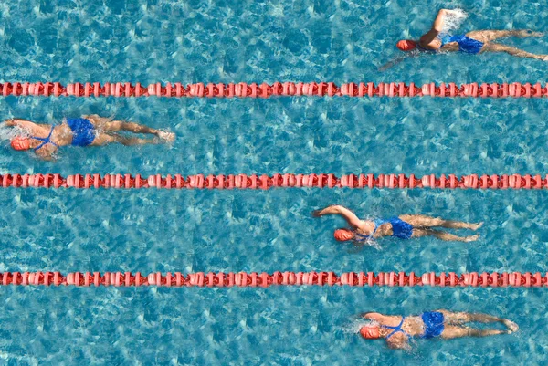 Swimming competition with one champion. — Stock Photo, Image