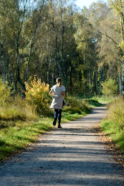 Nella foresta — Foto Stock