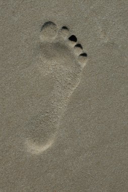 Kumda ayak izi
