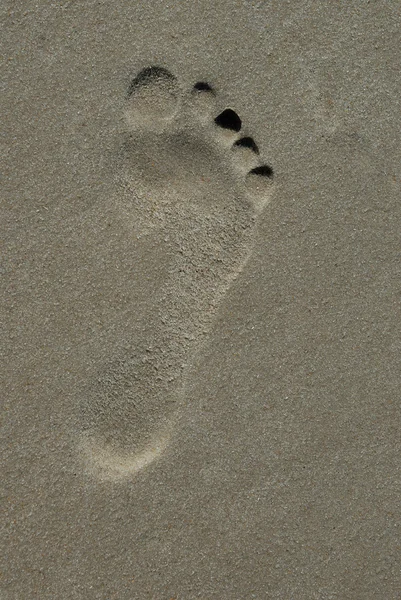 Kumda ayak izi — Stok fotoğraf