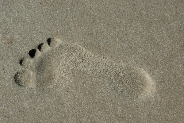 Empreinte dans le sable — Photo