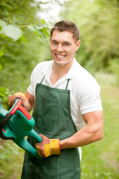 Садовник с отделкой изгороди — стоковое фото