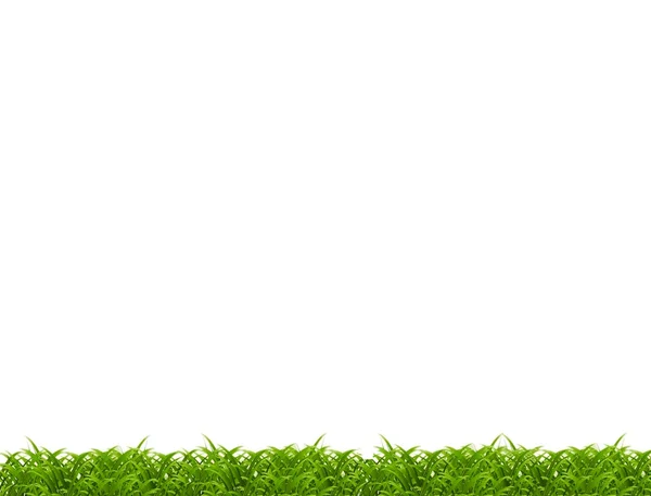 Nahaufnahme von Gras isoliert auf weißem Hintergrund. Stockbild