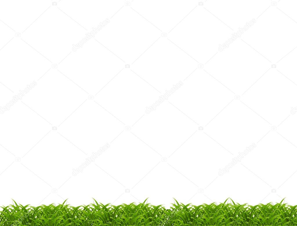 Close-up of grass isolated on white background.