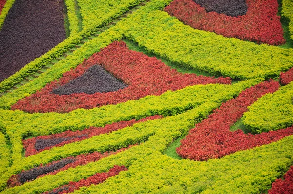 stock image Beautiful garden in spring