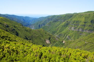 madeira Adası dağlar