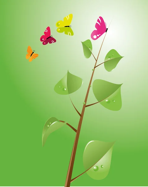 Tavaszi fa és színek pillangó — Stock Vector