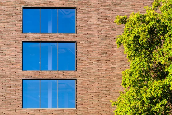 Windows w nowoczesnym budynku z drzewa — Zdjęcie stockowe