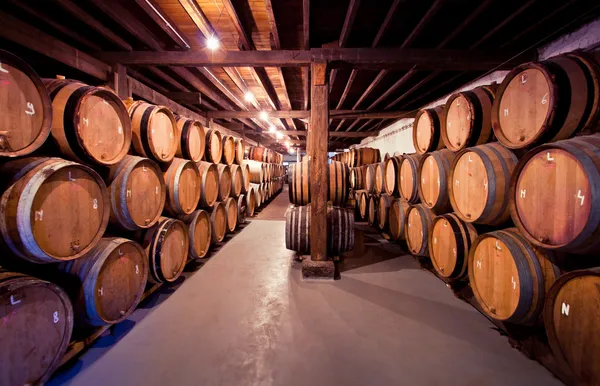 Wine cellar with barrels in stacks — Stock Photo, Image