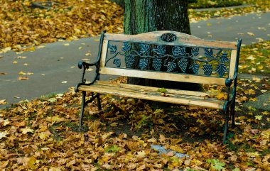 Sonbahar Parkı 'ndaki eski ahşap bankta