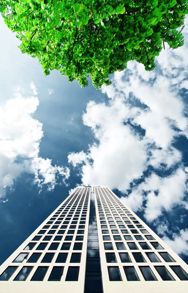 Bürogebäude und Baum — Stockfoto