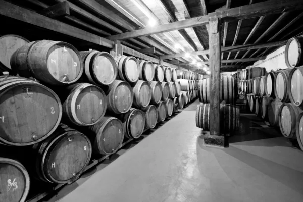 Wijnkelder met vaten in stapels — Stockfoto