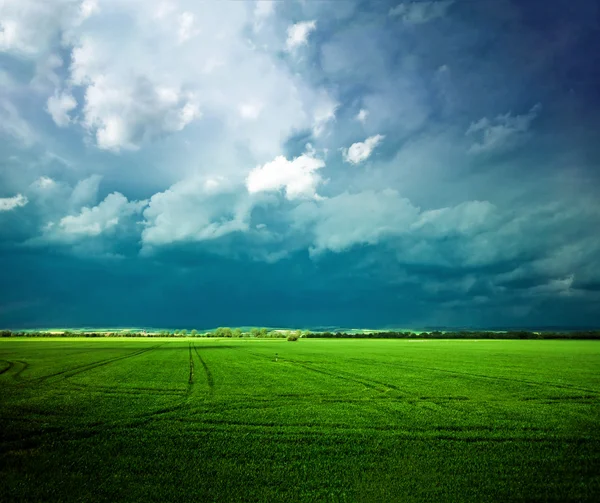 stock image Cloudy day on green grassland