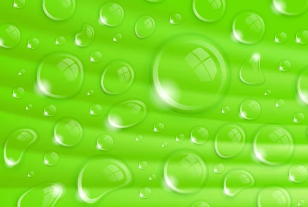 Gotas de agua dulce en la hoja — Vector de stock
